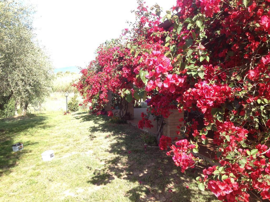 Holiday home Casa Santina *