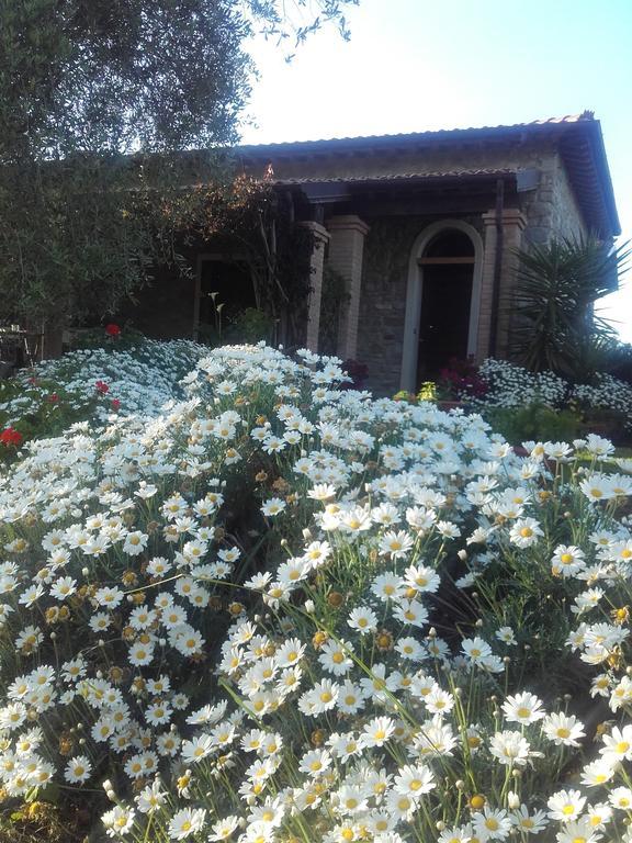 Holiday home Casa Santina *