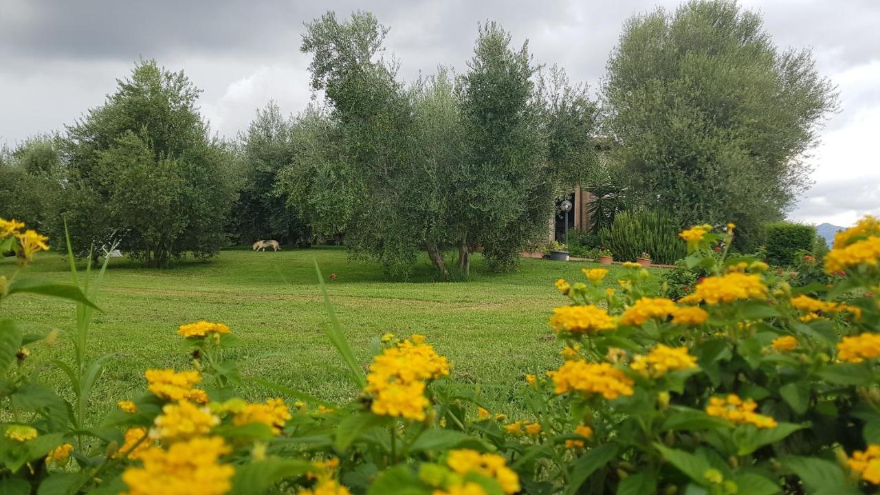 Casa Santina Holiday home
